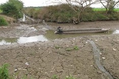 Seawater encroaches on farm land in Soc Trang