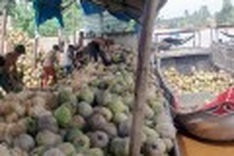 Local prices overwhelmed by demand from Chinese market