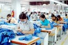 New credit guarantee regulations for SMEs