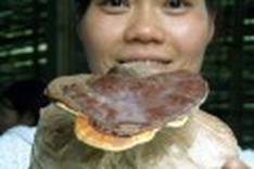 Taiwan helps Vietnam clear unexploded bombs, reduce poverty