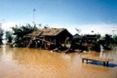 Disasters claim huge losses to economy