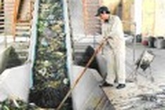 Most rural waste to be recycled by 2015