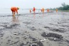 Scientists say sea environment seriously polluted