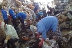 Pollution may take 10 years of lifespan from craft villagers