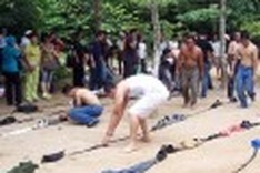 2011 a bumper year for high-end tourism