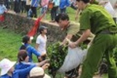 Survey found smaller enterprises cause bigger environment pollution