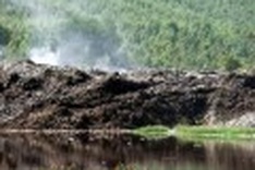 Vietnam must deal with land pollution and degradation