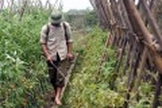 Experts say pollution caused by agricultural production serious
