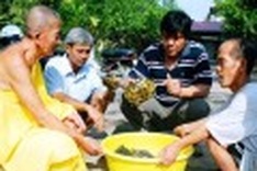 Vietnamese agencies still puzzled in managing exotic species