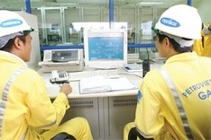 Inspectorate puts SOEs in firing line