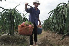 Vietnamese companies rush to make re-registration to export products to US