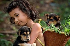 Vietnamese photographers snap up international awards