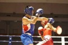 Vietnam aims for boxing gold