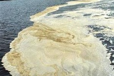 Dong Nai suffers increasing industrial pollution