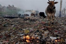 India to measure air quality in world's most polluted capital