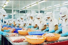 FDI efficiency needs improving