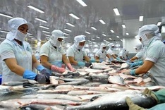 Twenty-three Vietnamese fish farms qualified for exports to US