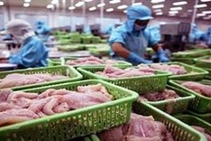 Tra fish exports face higher US tariffs