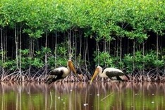 Top ten events of natural resources and environment sector announced