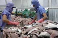 Vietnam’s aquatic export forecast to hit 6.5 billion USD