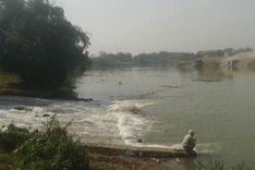 Fertilizer plant in Bac Giang poisons river