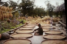 First color photos on old Hanoi displayed in Paris