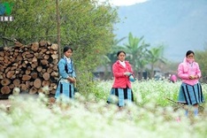 Mong ethnic people welcome New Spring
