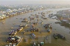 Festival promotes culture of Cai Rang Floating Market