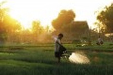 Organic farming a hit with consumers and tourists