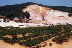 Clay mining destroys tea in Vietnam highlands town