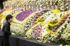 S.Korean president revamps cabinet after ferry tragedy