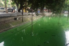 Warning over poisonous Hoan Kiem Lake water