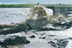 Delta needs ecosystem-based solutions for climate-change adaptation