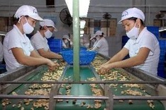 Vietnam attends TPP free trade discussions in Singapore