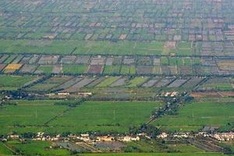 International workshop discusses Mekong Delta development