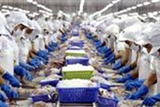 Tra fish subject to high US duties again