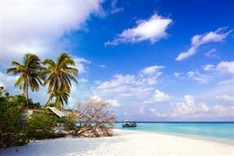 80% of purchases on Phu Quoc by Hanoi buyers