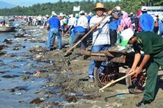 Activities to respond to World Environment Day