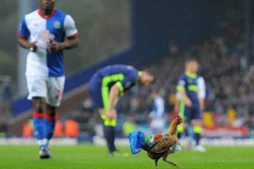 Blackburn owners face wrath of press after relegation