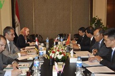 Egypt, Vietnam convene 8th political consultation session