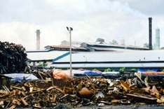 Rubbish dumps blight residential areas