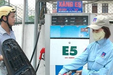 Bio-fuel use to be compulsory by 2015