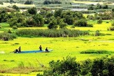 Ca Mau approves VND 400 billion plan to preserve U Minh Ha National Park