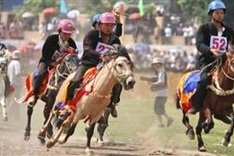 Bac Ha tourism culture week scheduled for June
