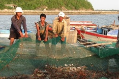 Vietnam Fisheries Association opposes mud dumping for power project