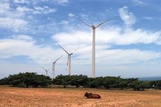 National renewable energy summit opens in Nha Trang