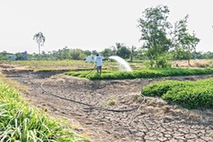 Mekong Delta sinks into the sea