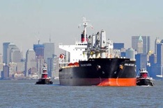 Vinalines asks to cut investment