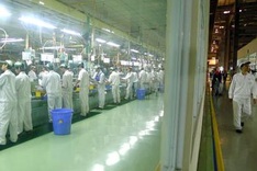 Slump in Vietnam's motorbike market