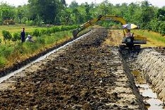Crop map being drawn to cope with Mekong Delta climate change